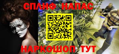 jwh Владикавказ